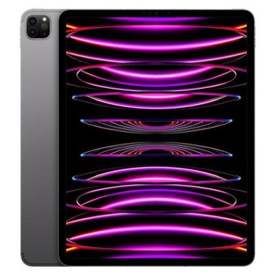 Apple iPad Pro 12,9'' Puce Apple M2 512 Go Gris Sid&eacute;ral Wi-Fi 6&egrave;me g&eacute;n&eacute;ration Fin 2022 Reconditionn&eacute; 