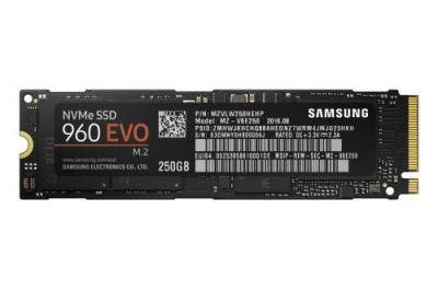 Samsung SSD 250 Go 960 EVO M.2 Type 2280
