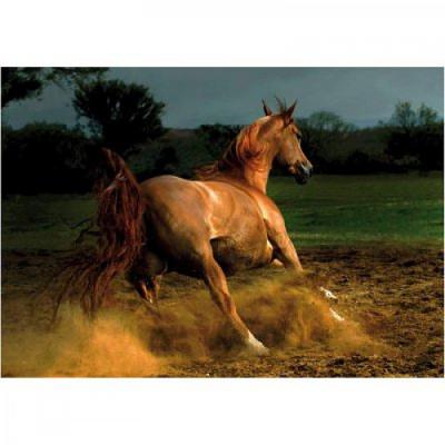 Puzzle 1000 Pi&egrave;ces : Cheval chestnut, DToys