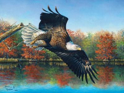 Puzzle Abraham Hunter - Wetlands Eagle SunsOut