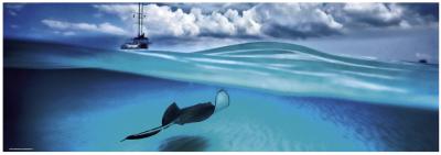 Heye - Heye-29470 - Puzzle Classique - Stingray - 1000 Pi&egrave;ces