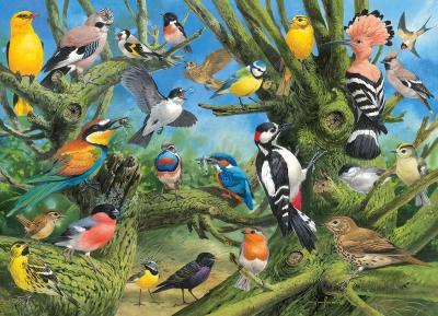 EuroGraphics Garden Birds by Joahn Francis 1000-Piece Puzzle