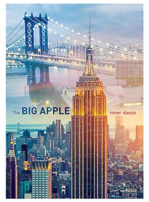 Puzzle 1000 Pi&egrave;ces : New York &agrave; l'Aube, Trefl 