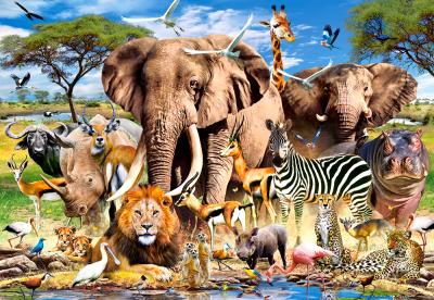 Castorland Puzzle Animaux de la savane 1500 Teile - - Puzzle
