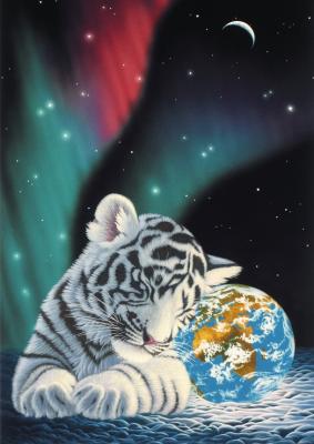 Puzzle Schim Schimmel - Earth Lights Grafika