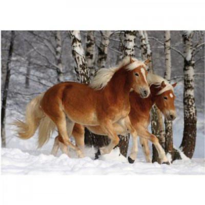 Puzzle Sp&eacute;cial / Difficile : Cheval Haflinger n&deg;3 