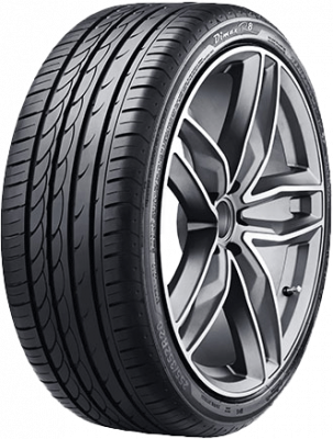 Radar Dimax R8 205/50 R17 93Y auto Pneus &eacute;t&eacute; Pneus DSC0583