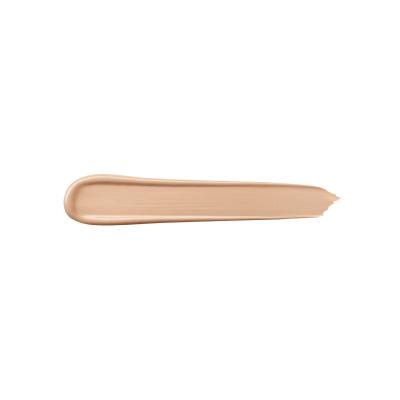 TEINT IDOLE ULTRA WEAR all over concealer #02-lys rose