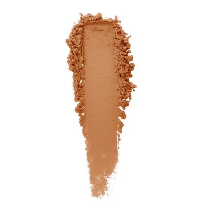 Translucent Loose Setting Powder - Poudre Libre Fixante Transparente