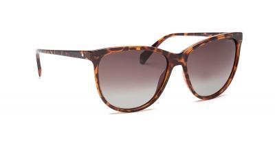 Polaroid Femme Pld 4066/S Sunglasses, 086/la Havana, 57 EU