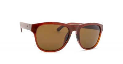 Quiksilver Tagger Polarized Sunglasses Dor&eacute; Homme