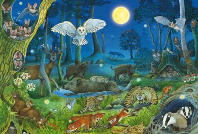 Schmidt spiele Puzzle animaux de la for&ecirc;t - 100 pi&egrave;ces