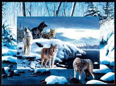 Kevin Daniel - Ice Wolves 