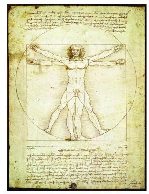 Puzzle Leonard de Vinci : L'homme de Vitruve Eurographics