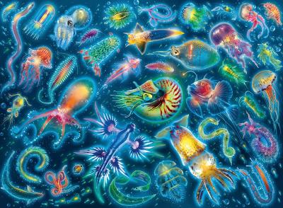 Puzzle 500 pi&egrave;ces : Esp&egrave;ces sous-marines color&eacute;es