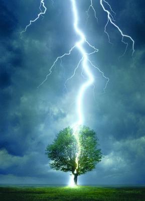 EuroGraphics Lighting Striking Tree 1000-Piece Puzzle 
