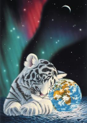Puzzle Schim Schimmel - Earth Light Grafika