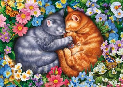 Puzzle - - Sommeil aux pattes de velours - 1000 pieces - Des 12 ans