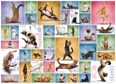 Eurographics Yoga Cats (1000)