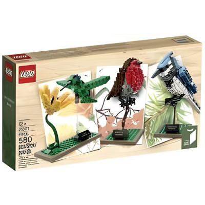 LEgO Ideas 21301 Kit de mod&egrave;le d'oiseaux (abandonn&eacute; par le fabricant)