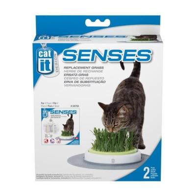 Cat It - Herbe de Rechange pour Kit de Jardin Senses - x2