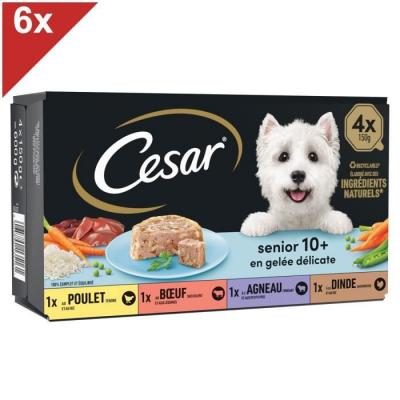 CESAR 24 Barquettes en gel&eacute;e 4 vari&eacute;t&eacute;s pour chien senior 150g (6x4)