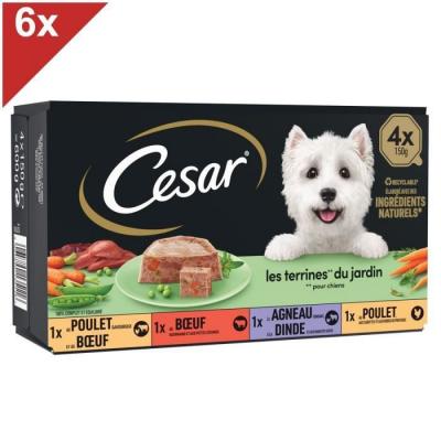 Cesar 24 Barquettes En Terrine 4 Vari&eacute;t&eacute;s Pour Chien 150g (6x4)