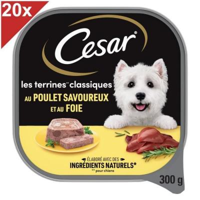 Cesar Barquette En Terrine Au Poulet - Pour Chien Adulte - 300 G X20