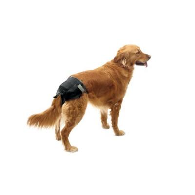 Savic Comfort Nappy T5 42-62 Cm Disposable Dog Diaper 12 Units Clair