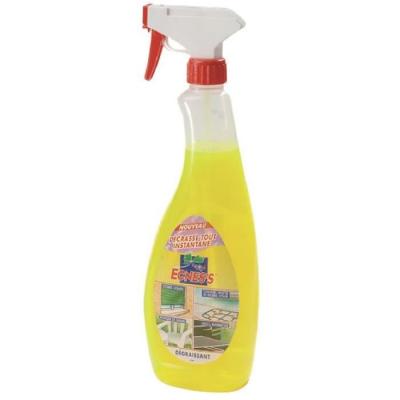 Ecness - D&eacute;crasse-tout multi-usages 750ml