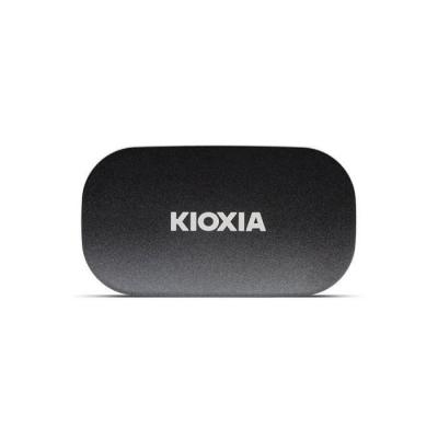 KIOXIA EXCERIA PLUS G2 500 Go
