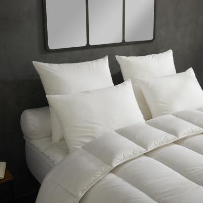 DODO - Lot de 2 Oreillers Micro Douceur - Moelleux 60 x 60 cm Blanc