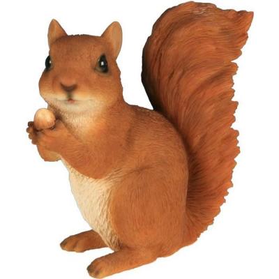 Ecureuil en r&eacute;sine avec noisette entre ses pattes