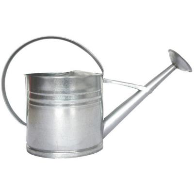 Esschert Design arrosoir d&eacute;coratif 62,5 cm zinc 10 litres argent