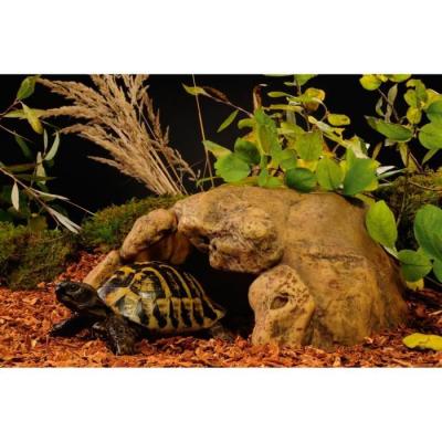 Exoterra Caverne Xxl 40x30x20cm - Pour Tortues