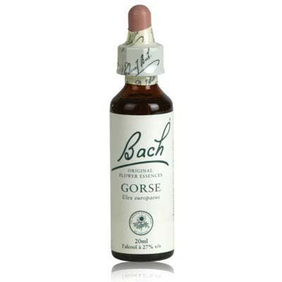 Fleur de Bach&reg; Original Gorse 20ml