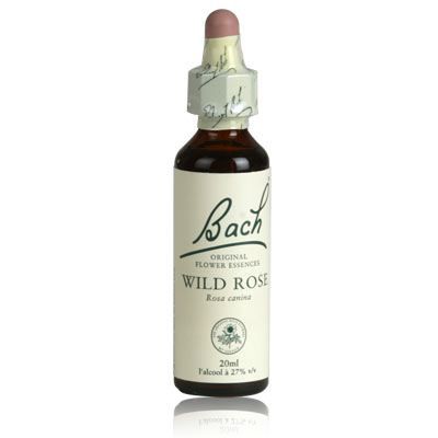 Fleur de Bach Wild Rose n&deg;37 - 20 ml