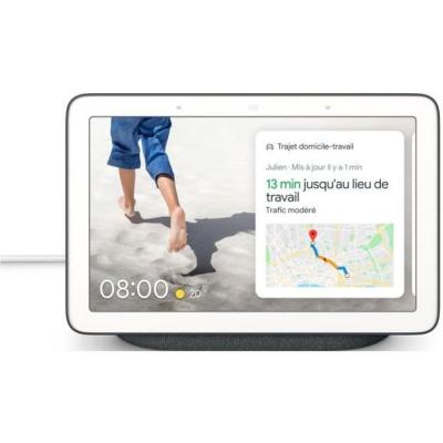 Assistant vocal Google Nest Hub Charbon