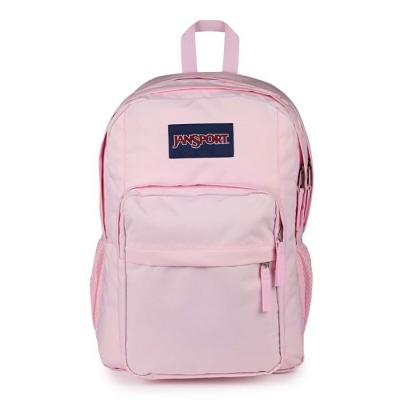 JanSport Sac d&eacute;cole rose pour femme et homme - Big Day Backpack Pink Ice 332837
