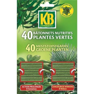 KB - B&acirc;tonnet nutritif - plante verte - lot de 40