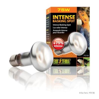 Exoterra Ampoule Intense Basking Spot pour Reptiles et Amphibiens 75 W