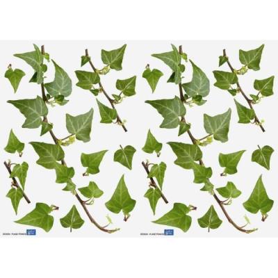 Lot De 2 Planches De Stickers Adh&eacute;sif - Lierres - 29,7 X 21 Cm