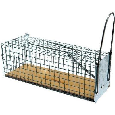 Nasse &agrave; rats monoprise socle bois