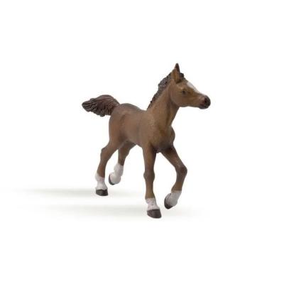 Figurine Cheval Anglo Arabe : Poulain