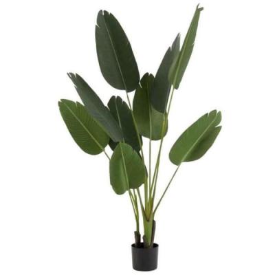 Plante Artificielle en Pot ""Strelitzia"" 165cm Vert