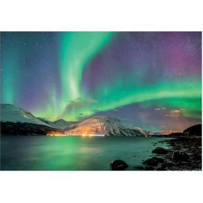 Puzzle adulte aurore boreale - 1000 pieces - collection paysage de laponie