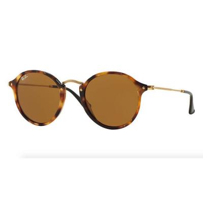 Ray-Ban RB 2447 1160 - Round Fleck   49-21mm   Lunettes de Soleil
