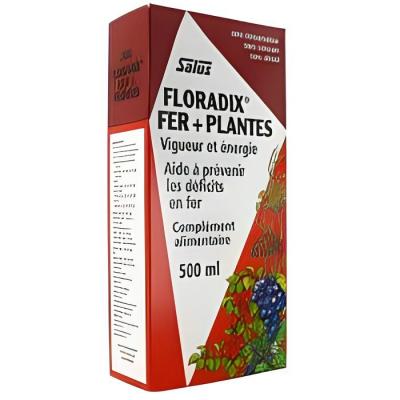 Floradix Fer + Plantes en bouteille - 500 ml
