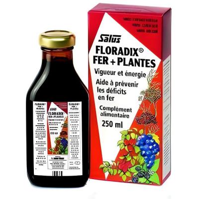 Salus France Floradix Fer et plantes Salus 250 ml