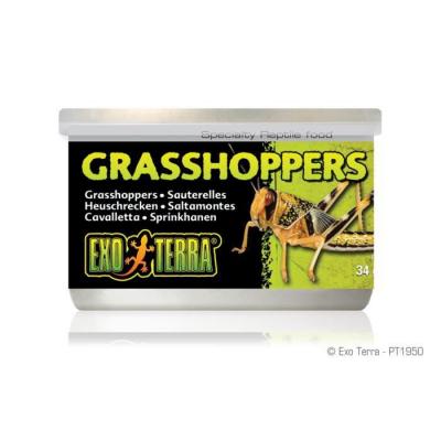 Aliment sauterelles sauvages small 34 g